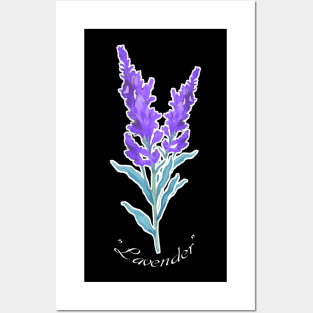 Purple Lavender Posters and Art